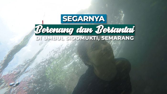 Segarnya Berenang di Mata Air Pegunungan
