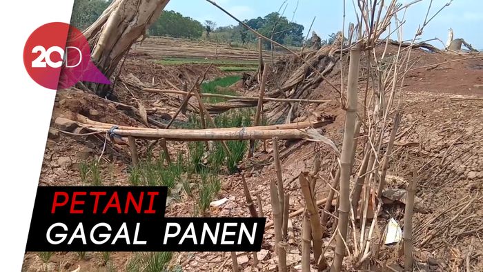 Dilanda Musim Panas, Waduk Jatigede Surut