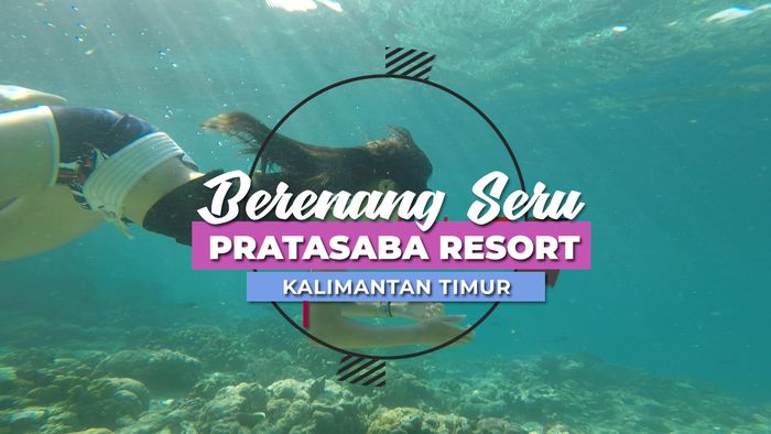 Keindahan Bawah Laut Pulau Maratua