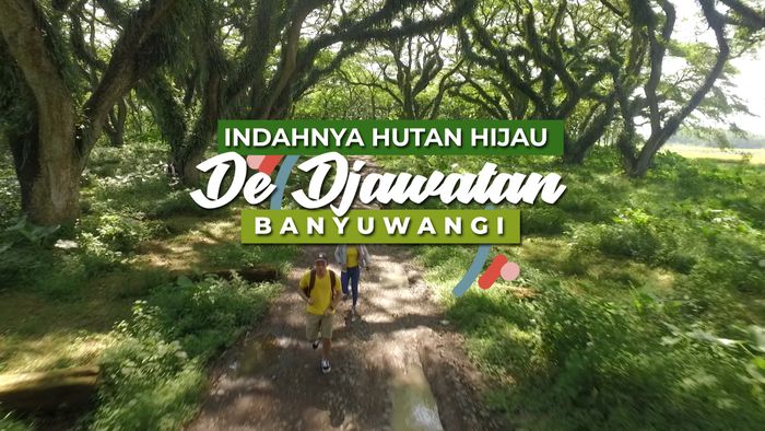 Hutan Hijau De Djawatan, Keindahan Hutan Layaknya Negeri Dongeng