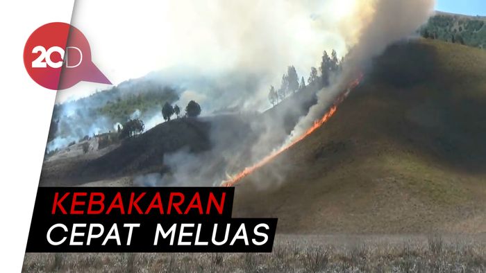 Petugas Terkendala Memadamkan Kebakaran di Bukit Bromo