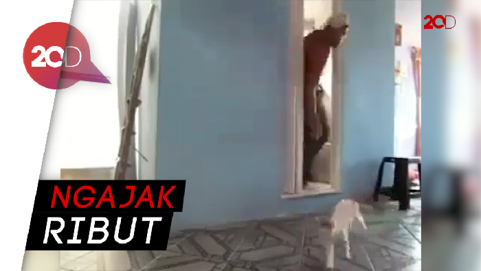 Kocak! Kucing Ini Doyan Banget Ngejahilin Orang