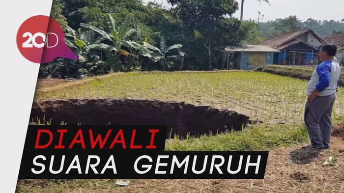 Muncul Lubang Raksasa Menganga di Tengah Sawah, Warga Heboh