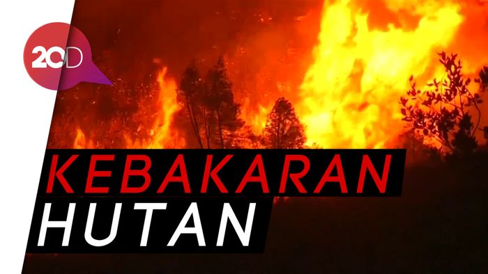 California Terbakar Hebat, Warga Enggan Dievakuasi