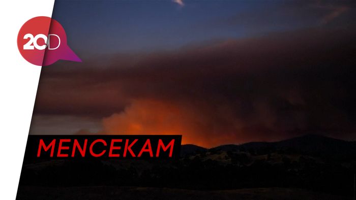 Gambar Kebakaran Hutan Mencekam Menutup Senja 