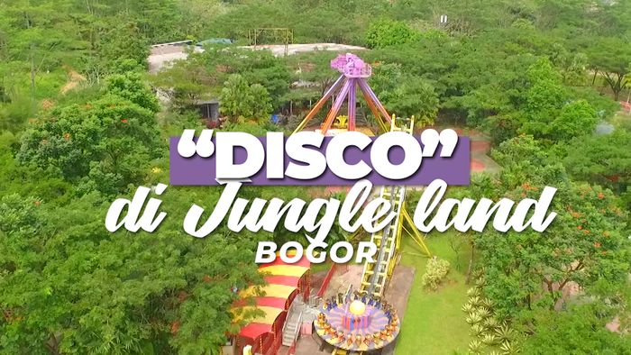 Disko di Jungle Land