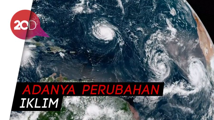 Ini Alasan dari Penganut Bumi Datar yang Masuk Akal