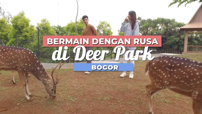 Berinteraksi Langsung dengan Rusa disini Tempatnya