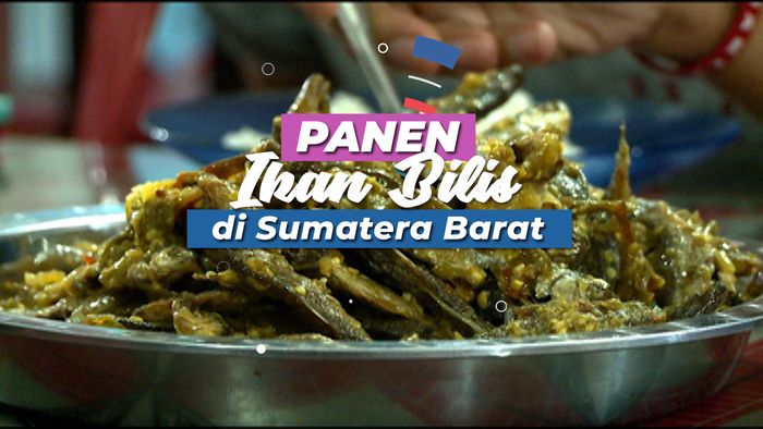 Melihat Langsung Ikan Khas Perairan Sumatera Barat