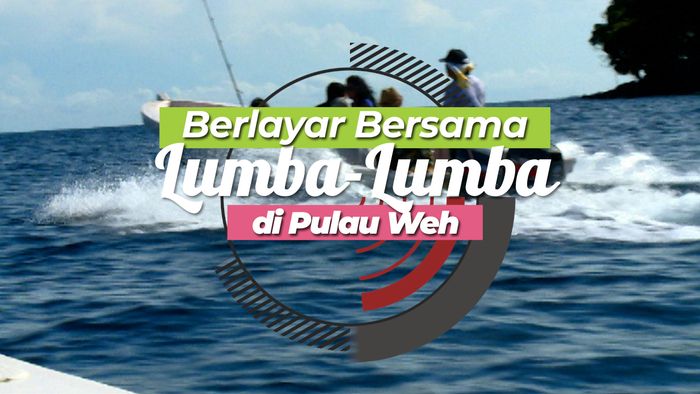 Berlayar Bersama Lumba-lumba di Sisi Paling Barat Indonesia