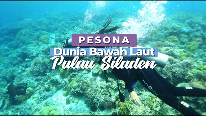 Pesona Bawah Laut di Tempat ini Tidak Kalah Indang dengan Bunaken