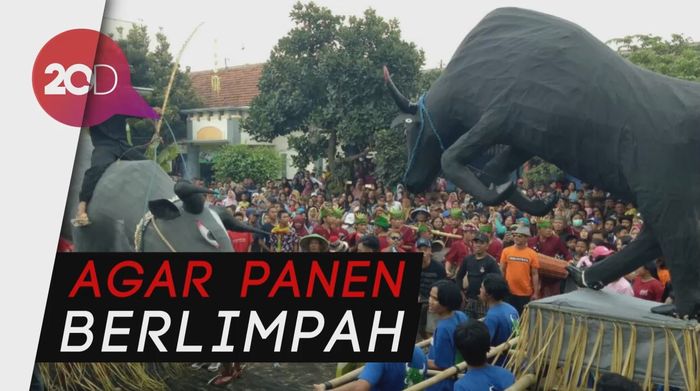 Warga Desa Aliyan Kerasukan di Tradisi Keboan