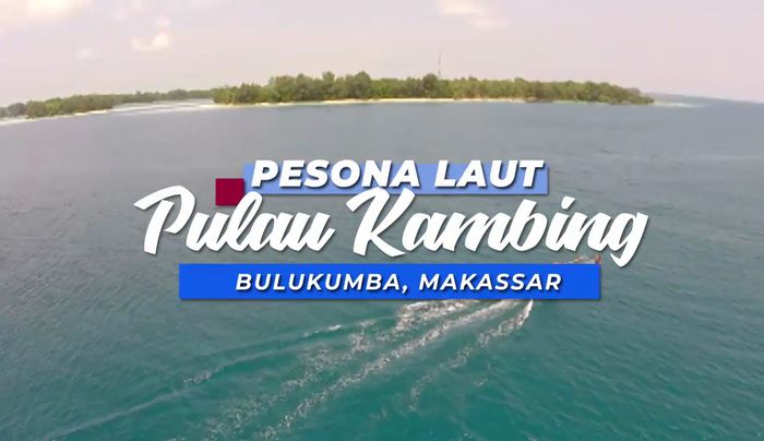Pesona Bawah Laut Pulau Kambing, Bulukumba