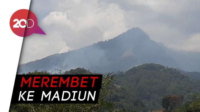 Diterjang Angin Kebakaran di Gunung Wilis Cepat Merembet