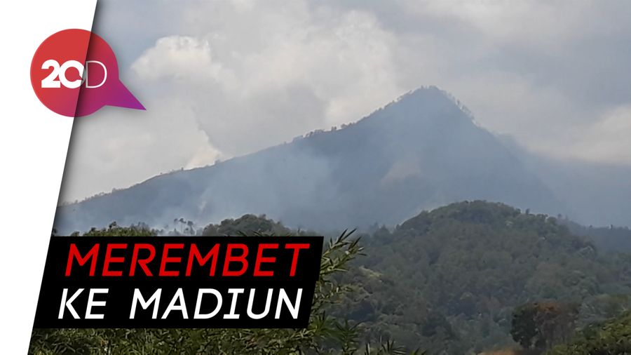 Diterjang Angin Kebakaran di Gunung Wilis Cepat Merembet