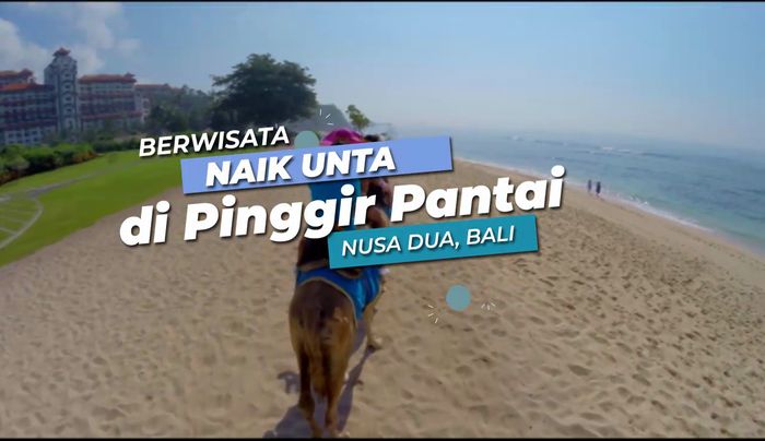Berwisata Naik Unta di Pantai Nusa Dua Bali