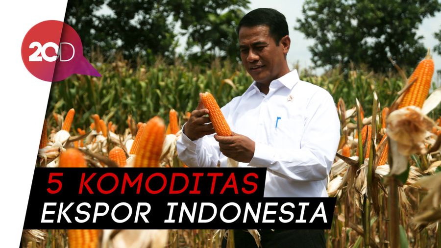 Mentan: 2045 Indonesia Lumbung Pangan Dunia