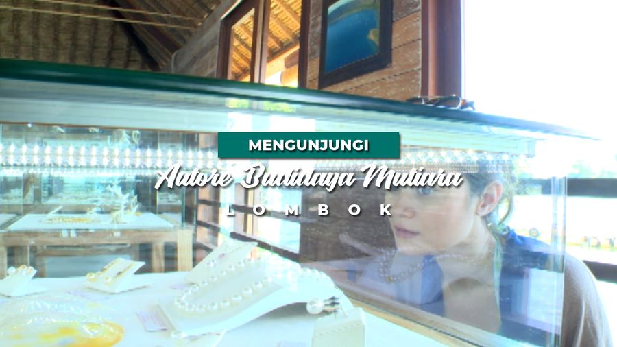 Berkunjung ke Budidaya Mutiara di Lombok