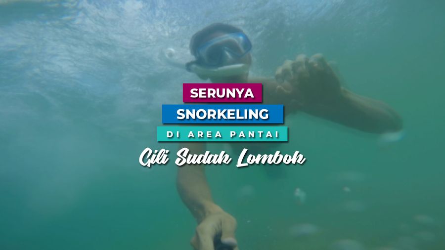 Keindahan Bawah Laut Gili Sudak Lombok