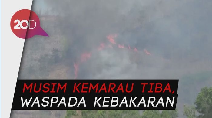 Tujuh Hektare Hutan di Trenggalek Ludes Terbakar!