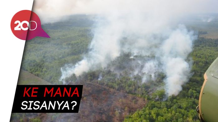 KLHK Menang Gugatan Rp 17 Triliun, Tapi Baru Dieksekusi Rp 30 Miliar