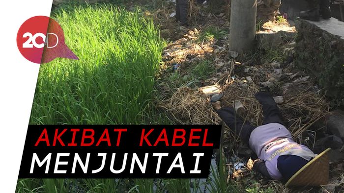 Nahas! Buruh Tani Wanita Tewas Tersengat Listrik