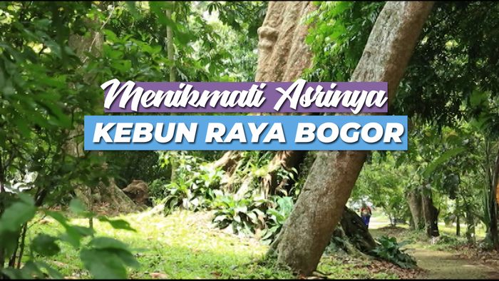 Menikmati Asrinya Kebun Raya Bogor
