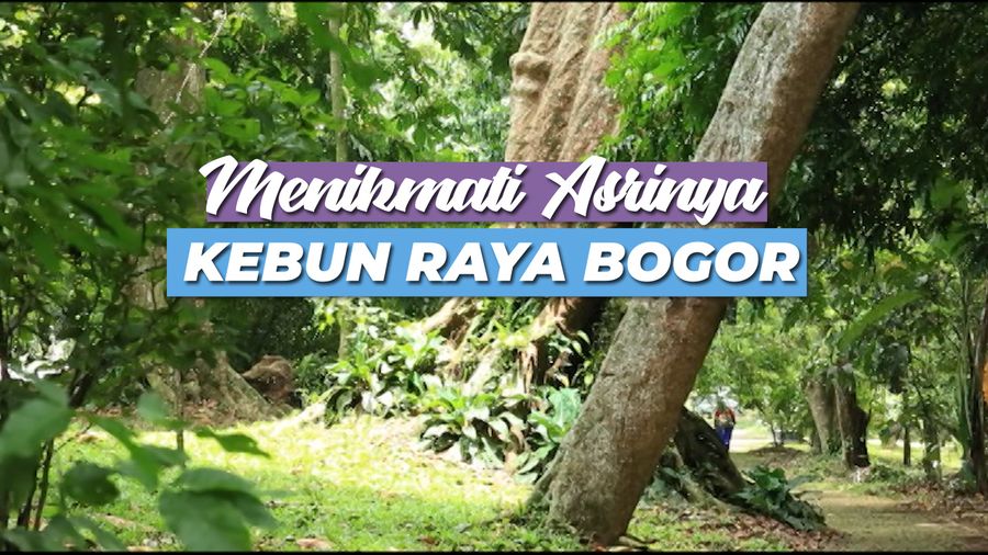 Menikmati Asrinya Kebun Raya Bogor