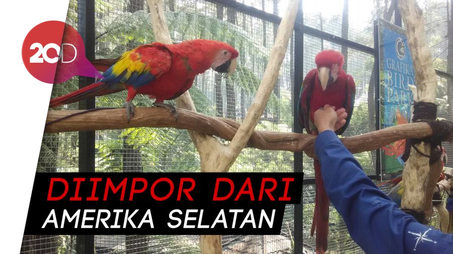 Ada Taman Burung dari Luar Negeri Lho di Lembang