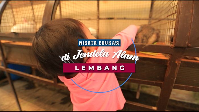 Ajak Anak ke Wisata Edukasi Alam Yuk!