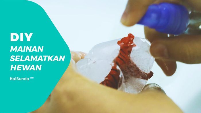 Yuk, Ajak Si Kecil Selamatkan Hewan!