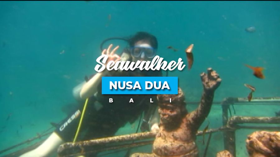 Ingin Mencoba Sesuatu yang Baru? Coba Nih Berjalan di Dasar Laut!