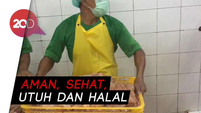 Ayam ASUH, Kiat Pemprov DKI Jakarta Cegah Flu Burung
