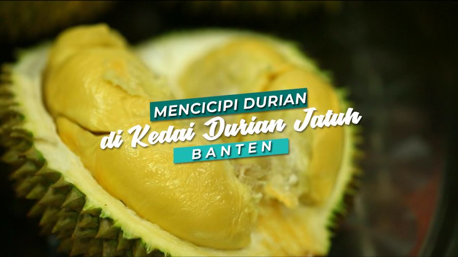 Mencicipi Durian Langsung di Kebunnya