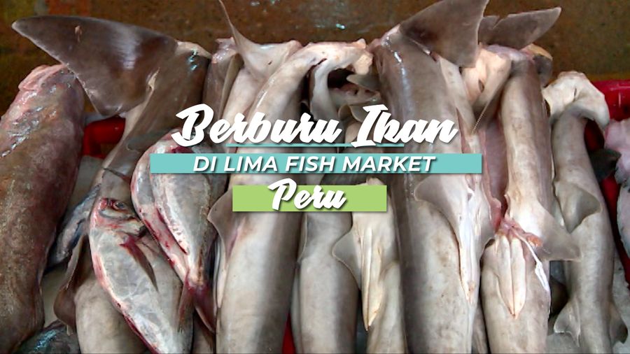 Pasar Ikan Terbesar Kedua di Dunia