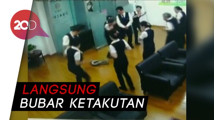 Ngeri! Ada Piton Jatuh Nyaris Kena Kepala Petugas Bank