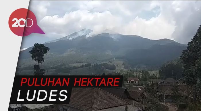 Hutan di Gunung Merbabu Terbakar, Api Dekati Puncak