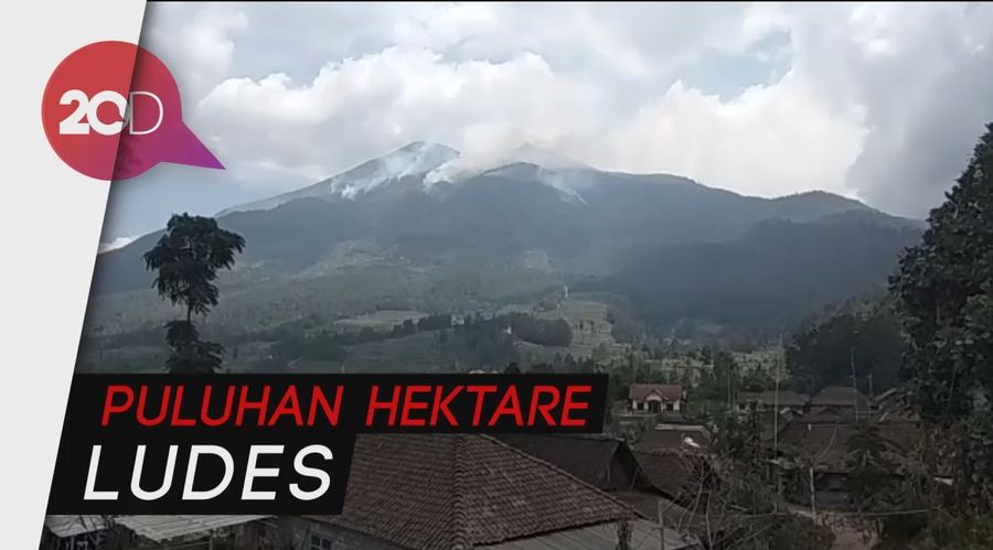 Hutan di Gunung Merbabu Terbakar, Api Dekati Puncak