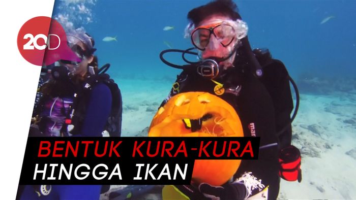 Jelang Halloween, Para Scuba Diving Ini Adu Ukir Labu