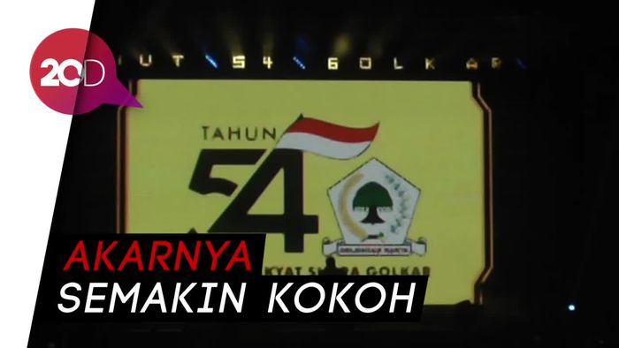 Airlangga: Golkar Makin Matang Bagaikan Pohon Beringin