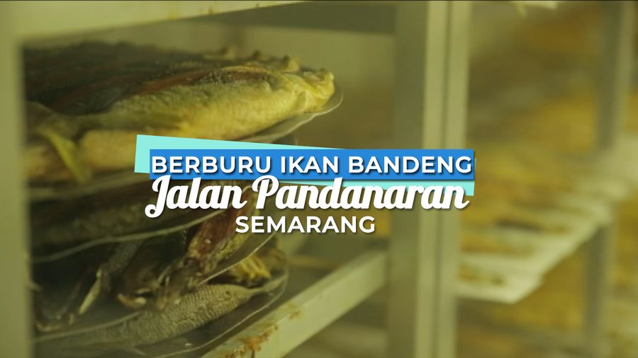 Berburu Ikan Bandeng di Jalan Pandanaran, Semarang