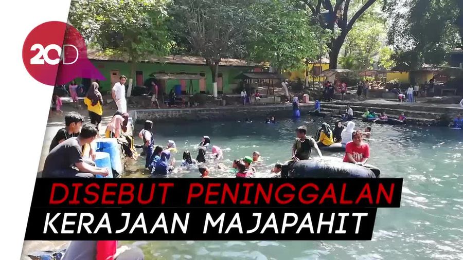Seru! Renang Bareng Ribuan Ikan Tombro di Pasuruan
