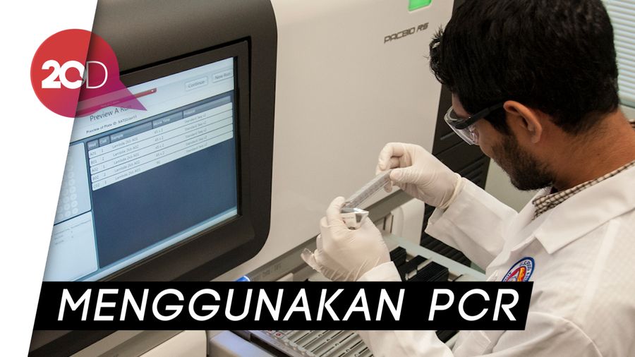 Mengenal Tes DNA yang Digunakan untuk Identifikasi Korban JT 610