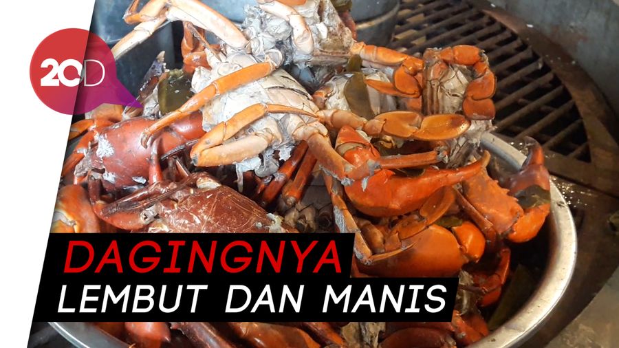 Puas Makan Kepiting Papua Jumbo Berdaging Tebal