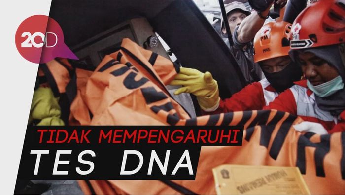 Jenazah Korban JT 610 Tak Utuh jadi Kendala Identifikasi