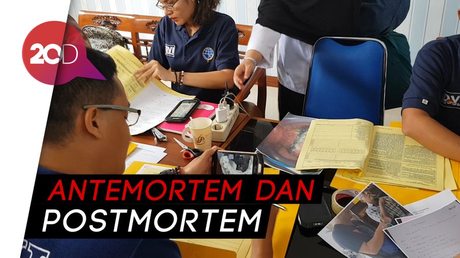 Bagaimana Cara Tim DVI Mengidentifikasi Korban Lion Air?