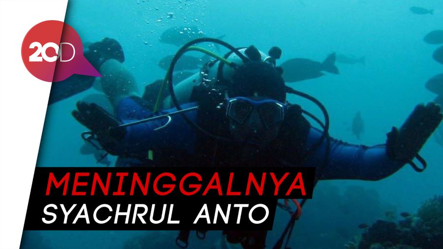 Duka Cita Jokowi pada Penyelam yang Gugur Cari Korban Lion Air