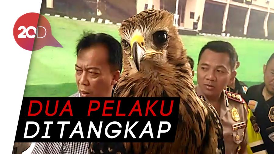  Jual-Beli Satwa Dilindungi Secara Online Terungkap!