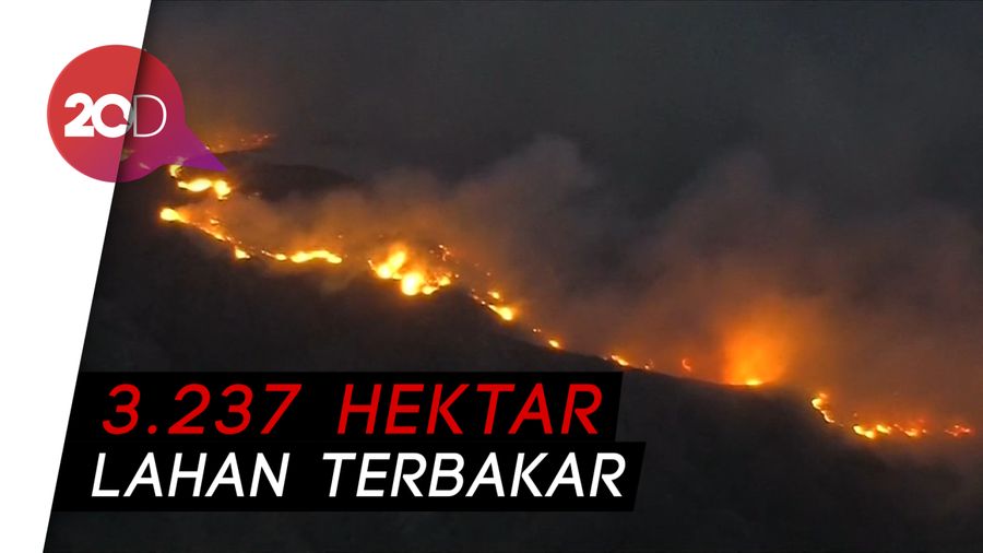 Asap Hitam Menutup Langit California 