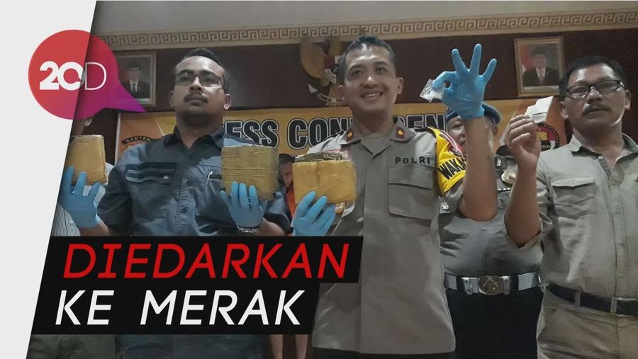 Polisi Tangkap Pengedar 2 Kg Ganja di Cilegon